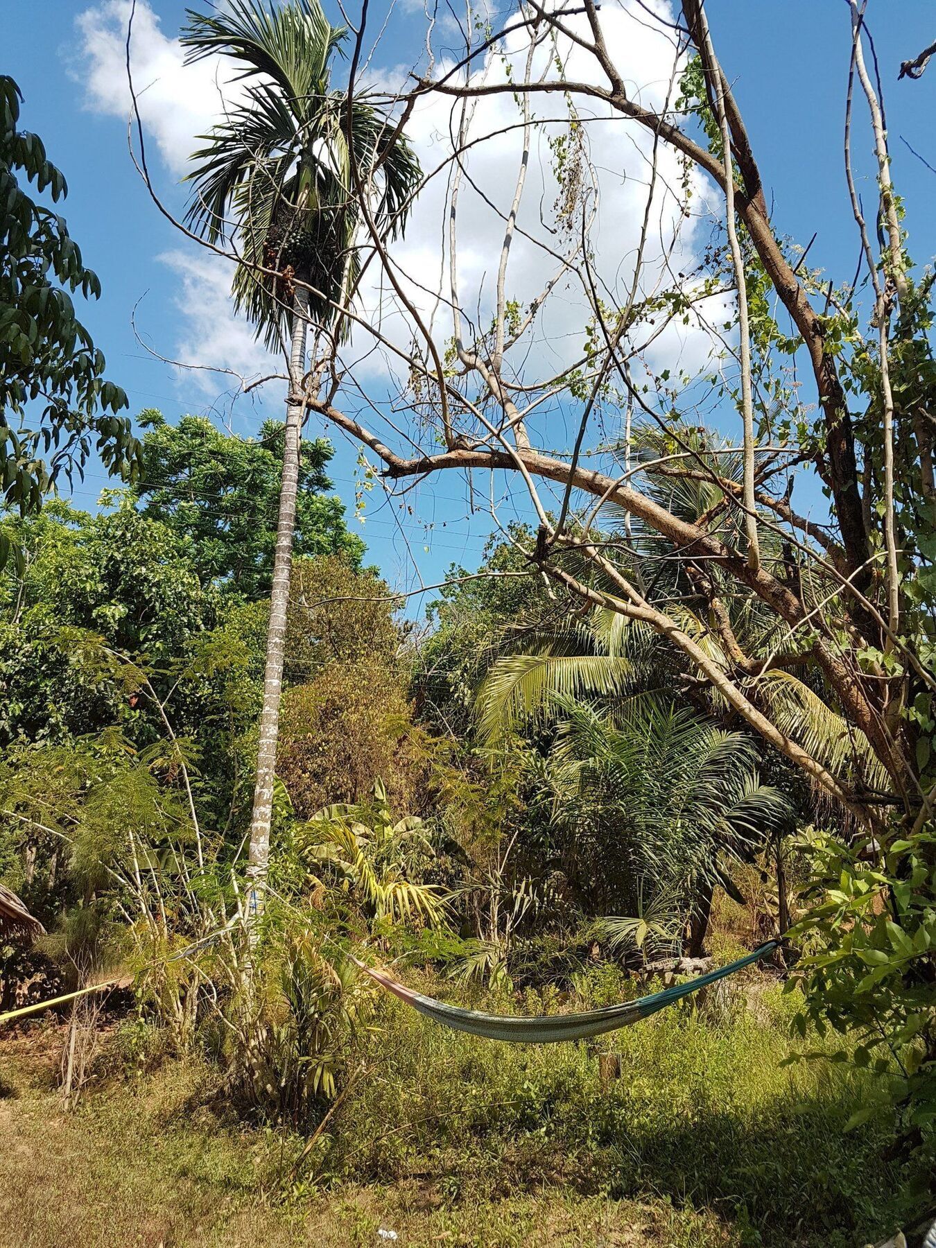 Slacklines Hostel Koh Lanta Exterior photo